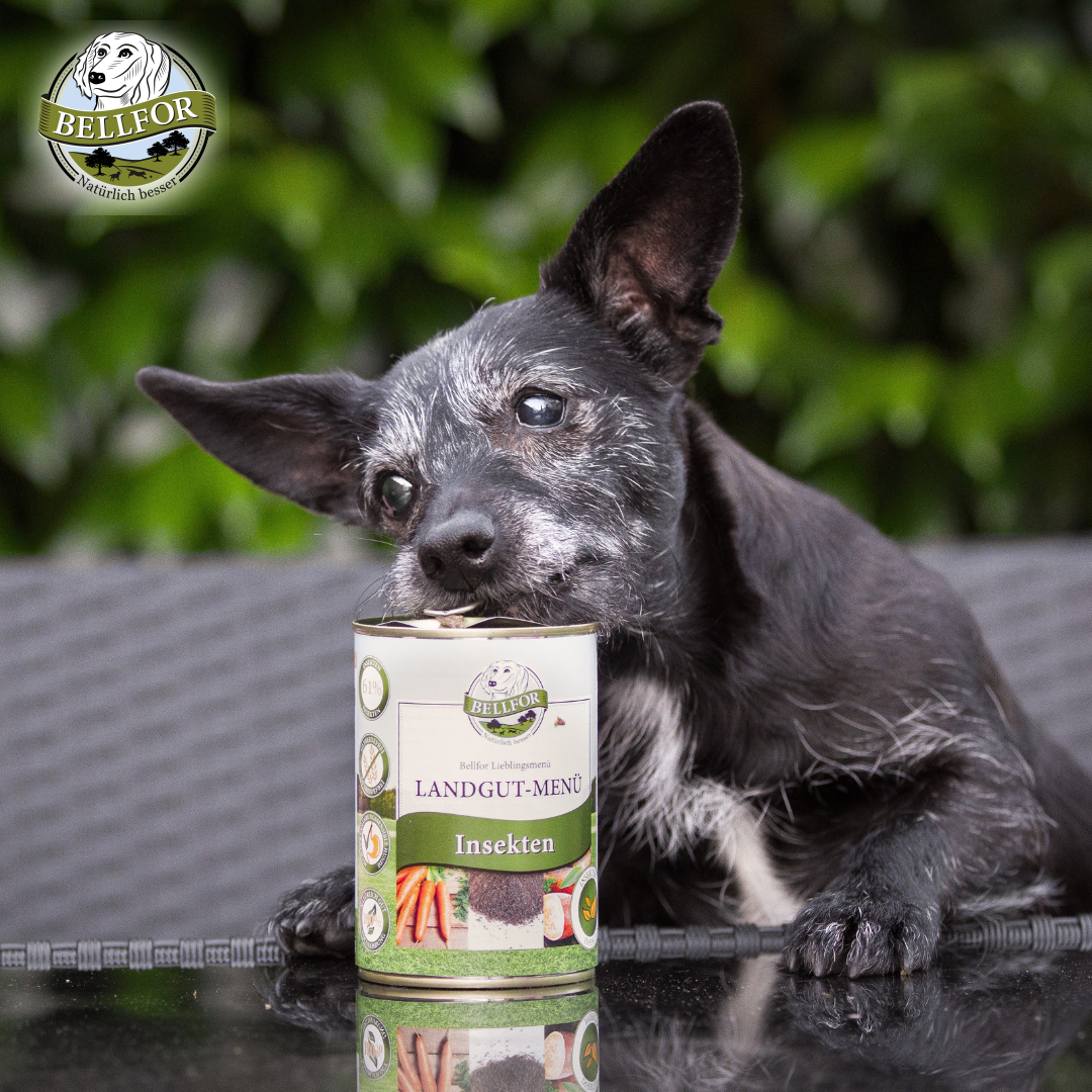 Næringsrigt hundefoder baseret på insekter