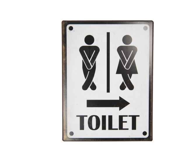 Tanker og reflektioners vedr. toiletter i det offentlige rum